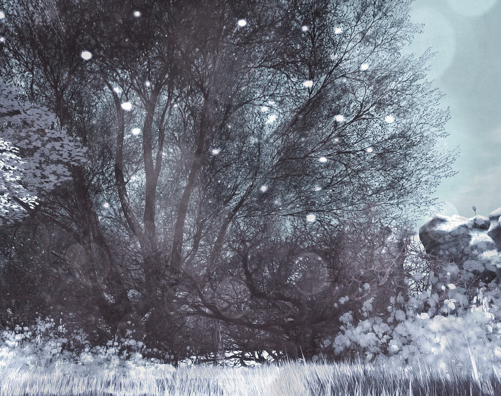 39577322602_b41e1d7e07_b